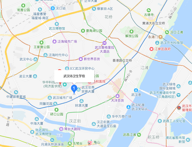 武汉市卫生学校2019年地址在哪里