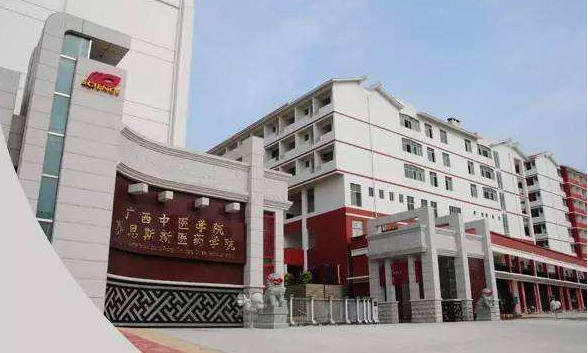 广西中医药大学赛恩斯新医药学院2019年有哪些专业
