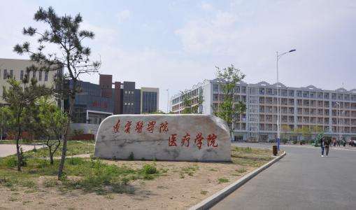 锦州医科大学医疗学院2019年有哪些专业