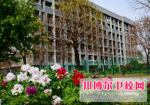 徐州生物工程职业技术学院网站网址