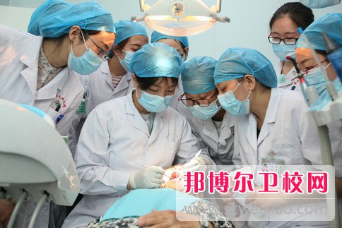 沧州医学高等专科学校2022年有哪些专业