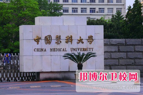 中国医科大学临床医药学院2022年是几本