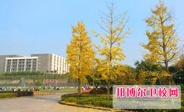2023年四川卫校有哪些公办学校(四川成都职业学校)