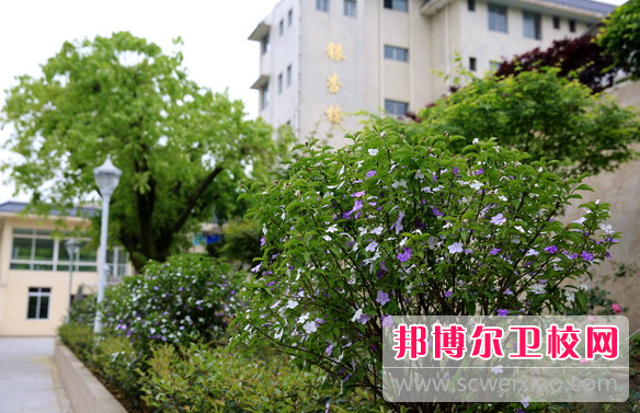 四川省食品药品学校2023年报名条件、招生要求、招生对象