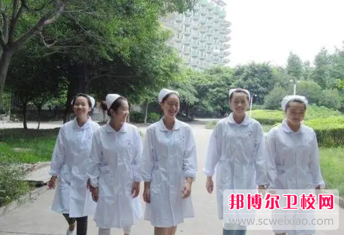 四川省卫生学校的针灸推拿专业招生情况(2023参考)