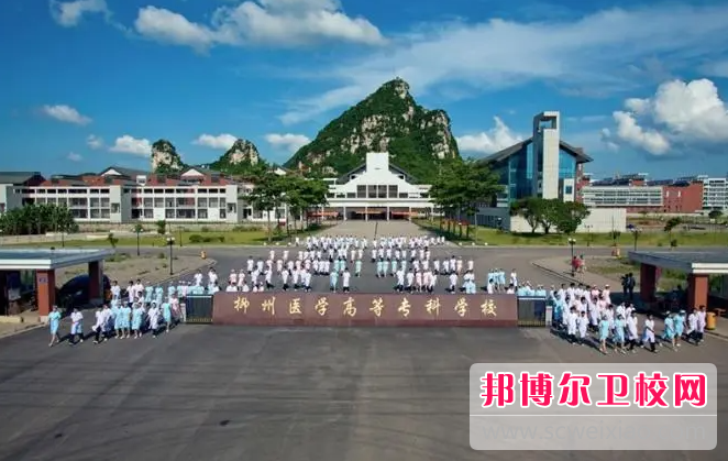 2023柳州口腔医学学校有哪些 柳州口腔医学学校名单一览表