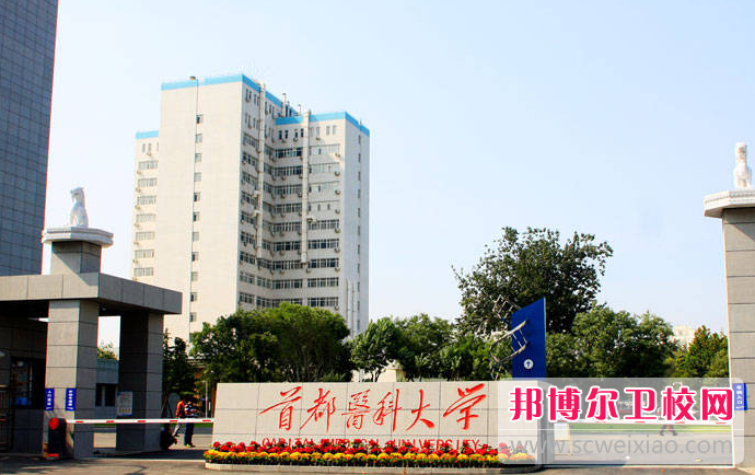2023北京公办口腔医学学校有哪些 北京公办口腔医学学校名单一览表
