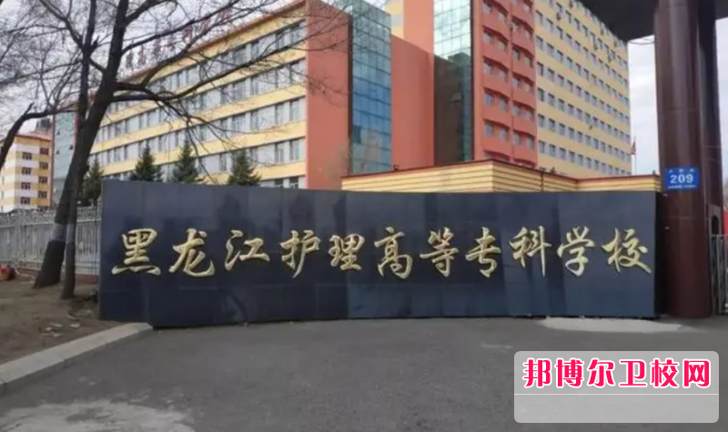 2023黑龙江公办卫生信息学校有哪些 黑龙江公办卫生信息学校名单一览表