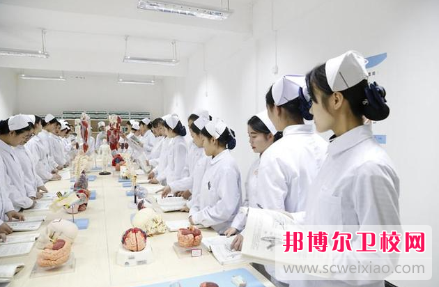 2023年重庆女生读护理学校学什么专业好