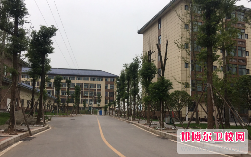 四川2023年有护理学校的大专