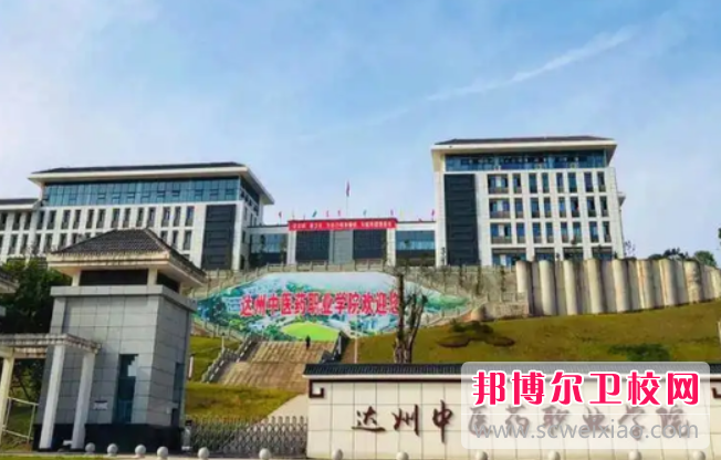 四川2023年设有护理学校的公办大专学校