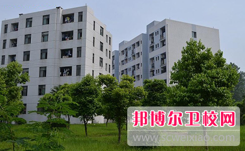 四川2023年有几所护理学校