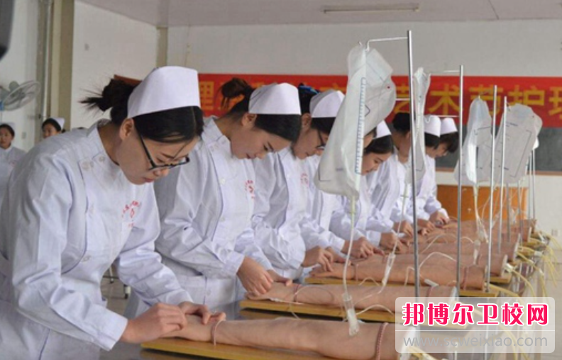 贵州2023年护理学校好不好找工作