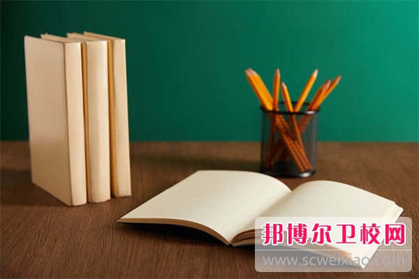 2023四川排名前二的公办卫生信息学校名单