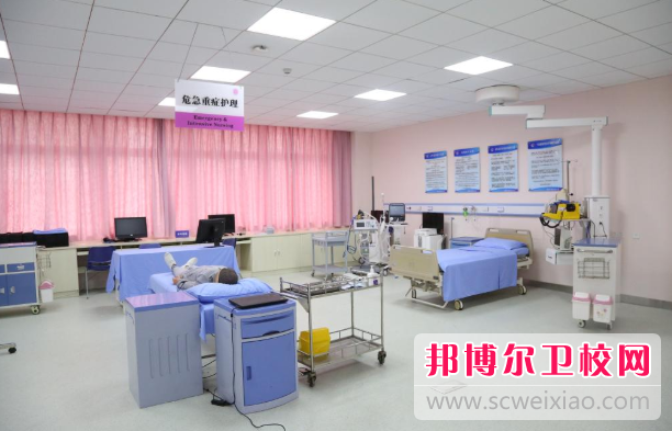 陕西2024年有几个护理学校