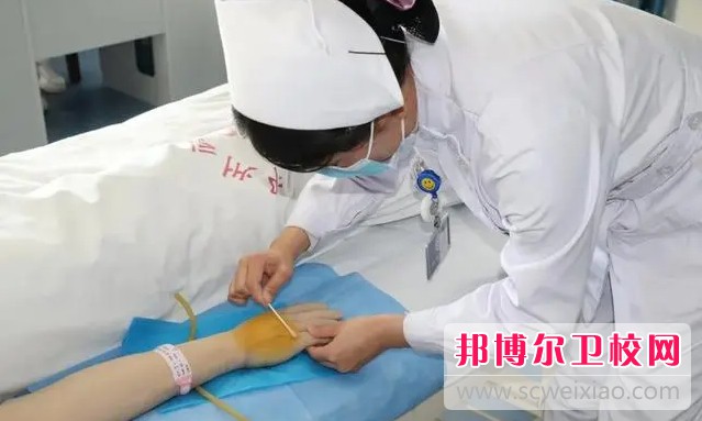 湖南2024年护理学校有哪些专业可以学